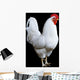 White Rooster Wall Decal