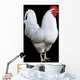 White Rooster Wall Decal
