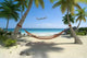 Caribbean Hammock Tied Between Two Trees Wall Decal
