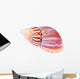 Colorful Mollusk Shell Top Wall Decal