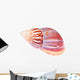 Colorful Mollusk Shell Top Wall Decal