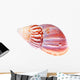Colorful Mollusk Shell Top Wall Decal