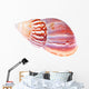 Colorful Mollusk Shell Top Wall Decal