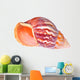 Colorful Mollusk Shell Opening Wall Decal