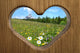 Holidays Mountains Wall Decal