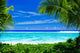 Deserted Tropical Beach Framed Wall Decal