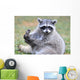 North American Raccoon Yellowstone Wall Decal