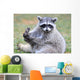 North American Raccoon Yellowstone Wall Decal