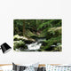 Torrent Wall Decal