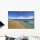 Daydream Island Wall Decal