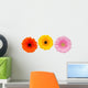 Three Colorful Gerbera Flowers Wall Decal
