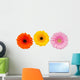 Three Colorful Gerbera Flowers Wall Decal