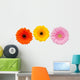 Three Colorful Gerbera Flowers Wall Decal