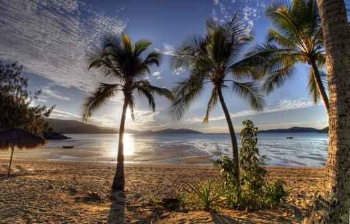 Tropical Island Wall Decal