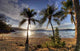 Tropical Island Wall Decal