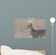 Whitetail Deer Buck Foggy Wall Decal