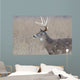 Whitetail Deer Buck Foggy Wall Decal