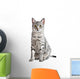 Spotted Egyptian Mau Cat Wall Decal