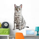 Spotted Egyptian Mau Cat Wall Decal