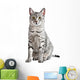 Spotted Egyptian Mau Cat Wall Decal