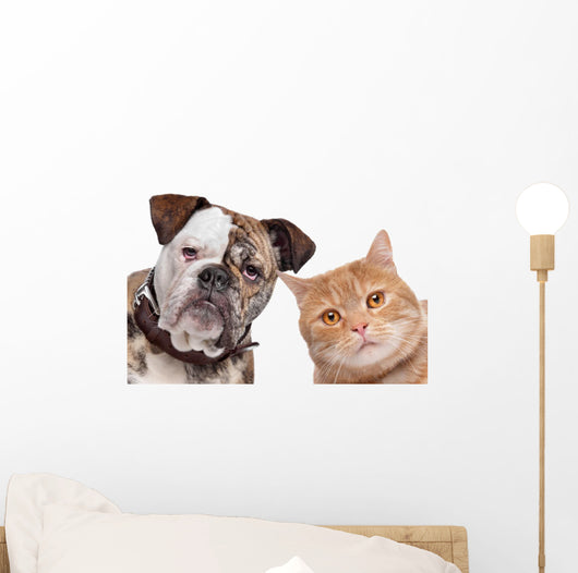 Bulldog And Tabby Cat Wall Decal