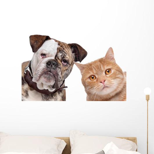 Bulldog And Tabby Cat Wall Decal