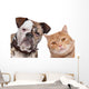 Bulldog And Tabby Cat Wall Decal