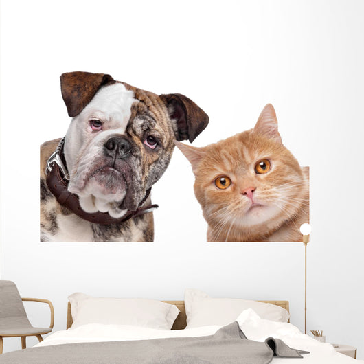 Bulldog And Tabby Cat Wall Decal