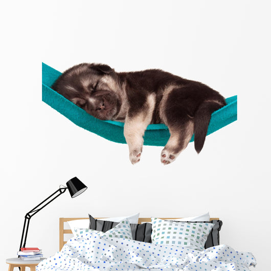 Cute Puppy Wall Decal