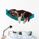 Cute Puppy Wall Decal