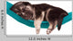 Cute Puppy Wall Decal