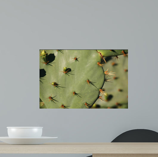 Cacti Wall Decal