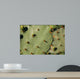 Cacti Wall Decal
