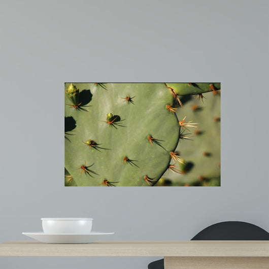 Cacti Wall Decal