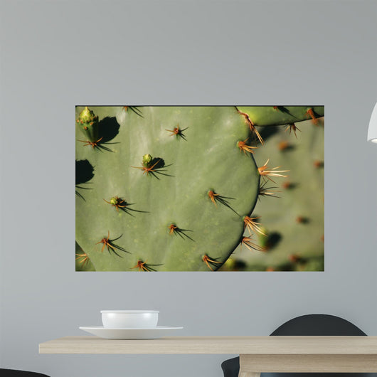 Cacti Wall Decal