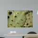 Cacti Wall Decal