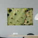 Cacti Wall Decal