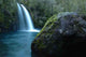 Salto Agua Wall Decal