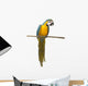 Perched Blue And Gold Macaw Wall Decal