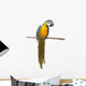 Perched Blue And Gold Macaw Wall Decal