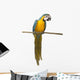 Perched Blue And Gold Macaw Wall Decal