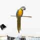 Perched Blue And Gold Macaw Wall Decal
