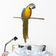 Perched Blue And Gold Macaw Wall Decal