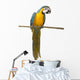Perched Blue And Gold Macaw Wall Decal