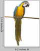 Perched Blue And Gold Macaw Wall Decal
