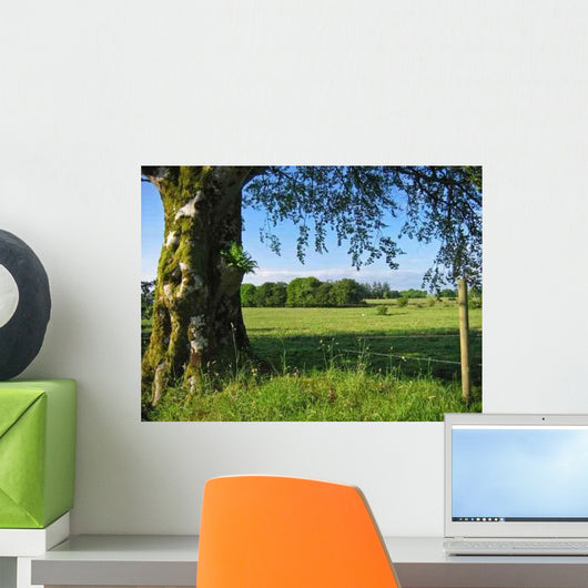 Irish Countryside Wall Decal
