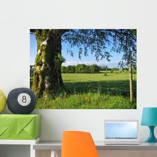 Irish Countryside Wall Decal