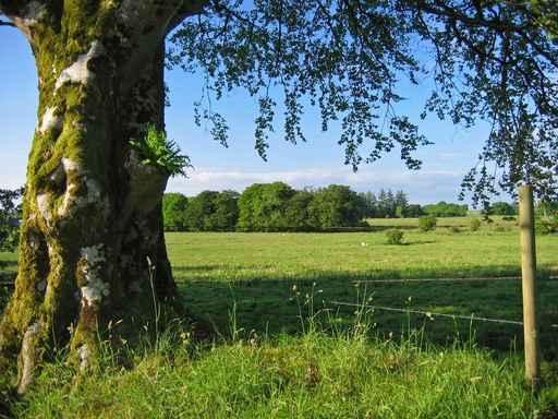 Irish Countryside Wall Decal