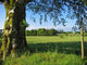 Irish Countryside Wall Decal