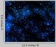 Nebula Gas Cloud Deep Wall Decal